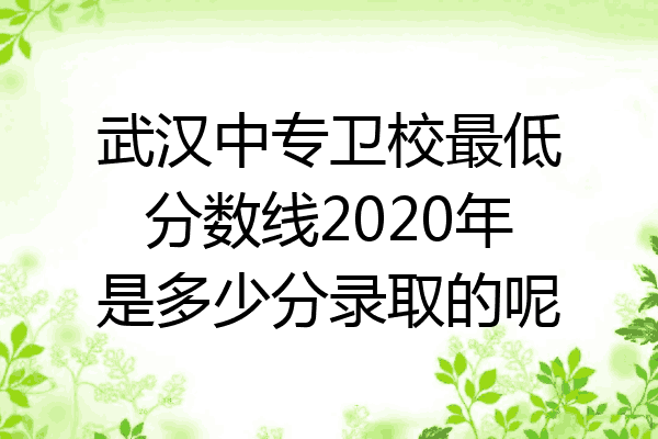 武汉中专卫校最低分数线2020年是多少分录取的呢