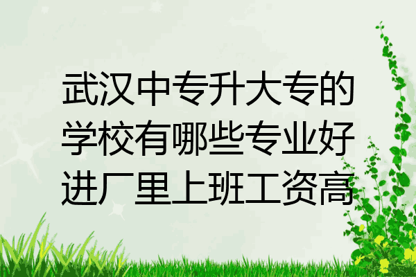 武汉中专升大专的学校有哪些专业好进厂里上班工资高