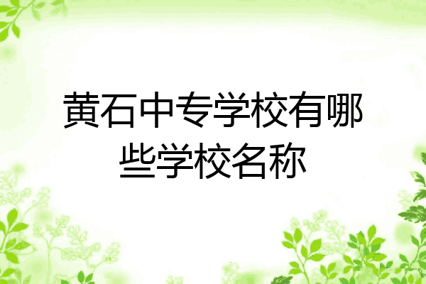 黄石中专学校有哪些学校名称