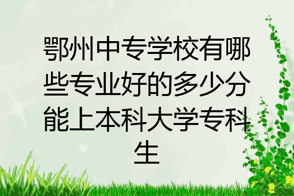 鄂州中专学校有哪些专业好的多少分能上本科大学专科生