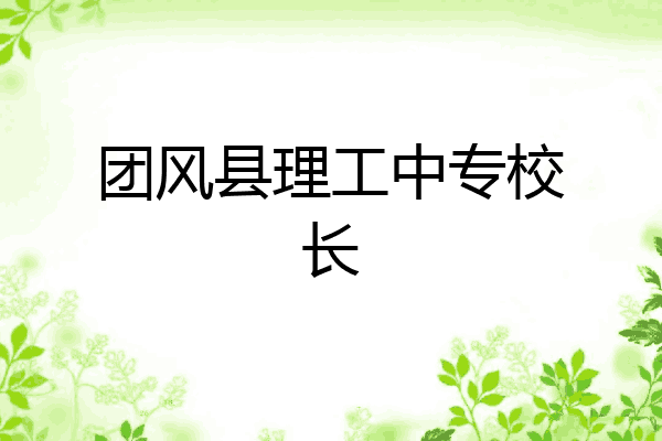 团风县理工中专校长