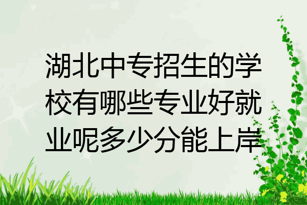湖北中专招生的学校有哪些专业好就业呢多少分能上岸