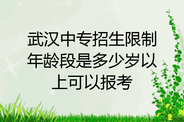 武汉中专招生限制年龄段是多少岁以上可以报考