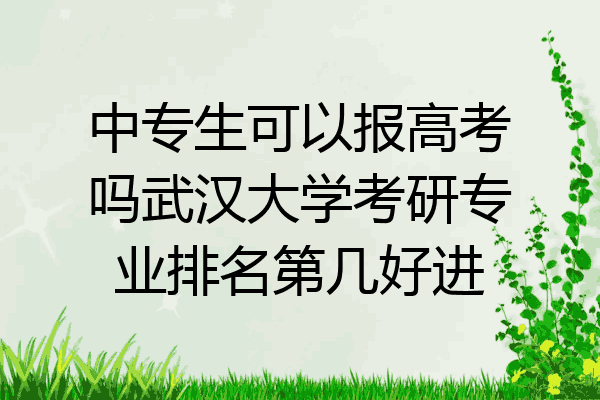中专生可以报高考吗武汉大学考研专业排名第几好进