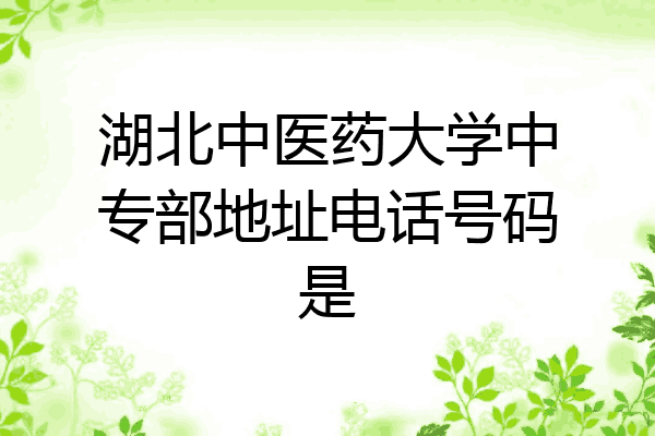 湖北中医药大学中专部地址电话号码是