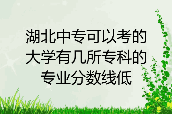 湖北中专可以考的大学有几所专科的专业分数线低