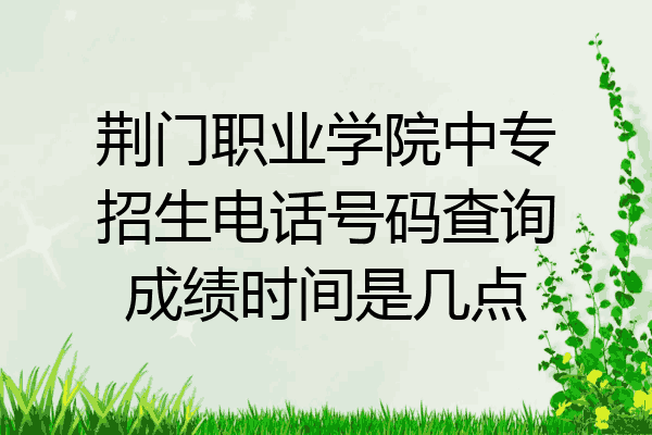 荆门职业学院中专招生电话号码查询成绩时间是几点