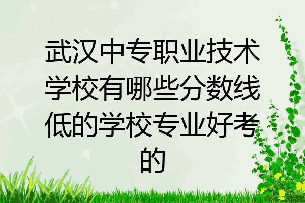 武汉中专职业技术学校有哪些分数线低的学校专业好考的
