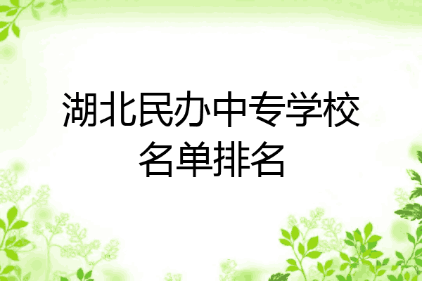 湖北民办中专学校名单排名