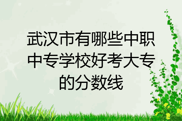 武汉市有哪些中职中专学校好考大专的分数线