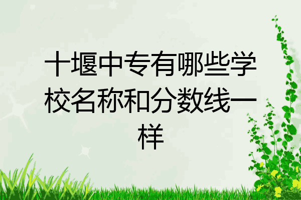 十堰中专有哪些学校名称和分数线一样