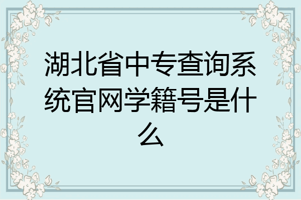 湖北省中专查询系统官网学籍号是什么