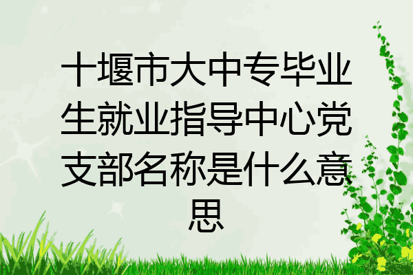 十堰市大中专毕业生就业指导中心党支部名称是什么意思