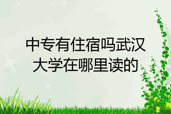 中专有住宿吗武汉大学在哪里读的