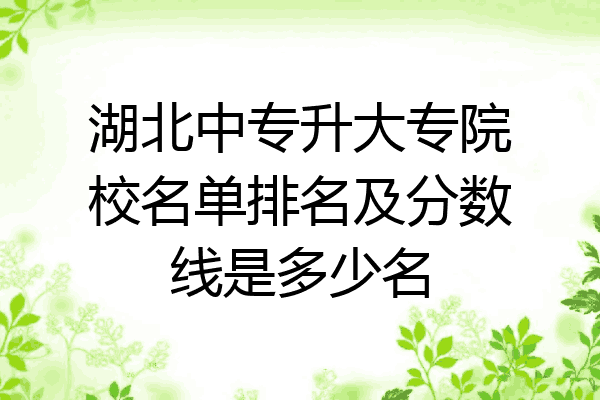 湖北中专升大专院校名单排名及分数线是多少名
