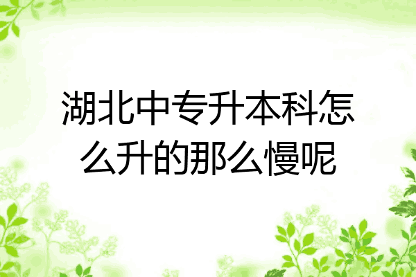 湖北中专升本科怎么升的那么慢呢