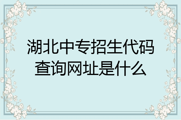 湖北中专招生代码查询网址是什么