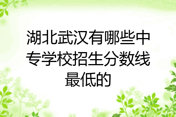 湖北武汉有哪些中专学校招生分数线最低的