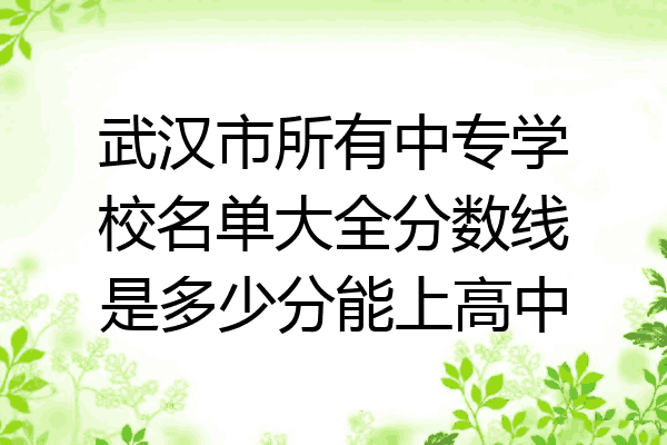 武汉市所有中专学校名单大全分数线是多少分能上高中