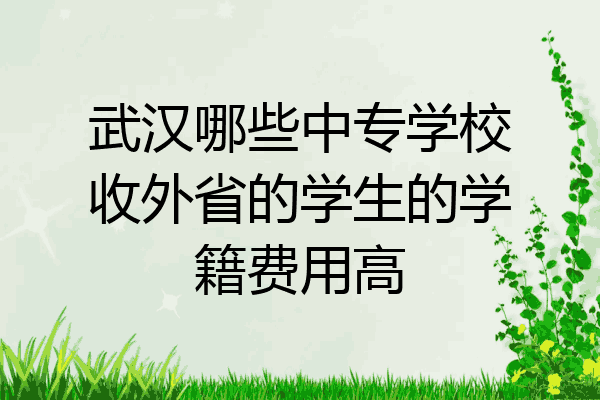 武汉哪些中专学校收外省的学生的学籍费用高