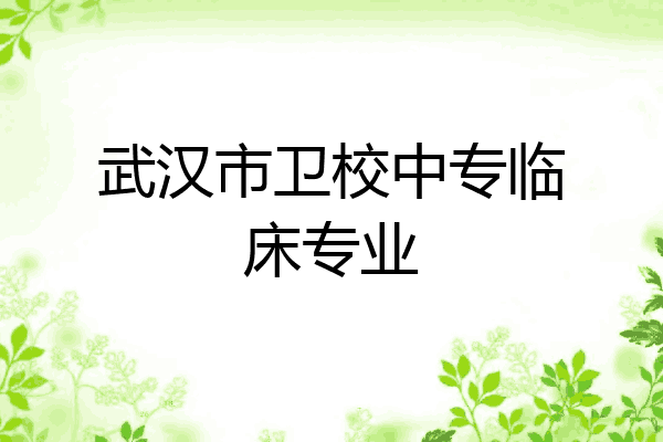 武汉市卫校中专临床专业