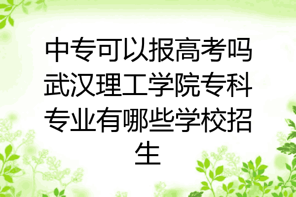 中专可以报高考吗武汉理工学院专科专业有哪些学校招生
