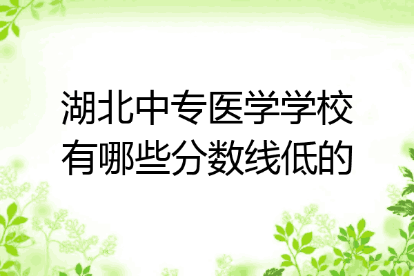 湖北中专医学学校有哪些分数线低的