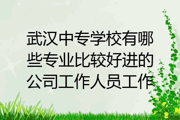 武汉中专学校有哪些专业比较好进的公司工作人员工作