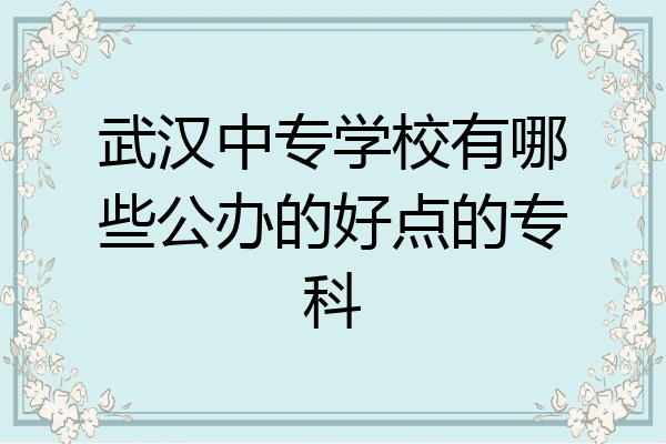 武汉中专学校有哪些公办的好点的专科