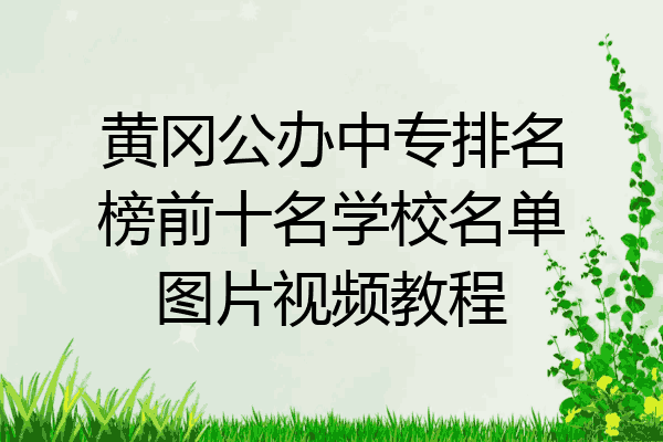 黄冈公办中专排名榜前十名学校名单图片视频教程