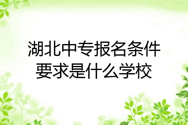 湖北中专报名条件要求是什么学校