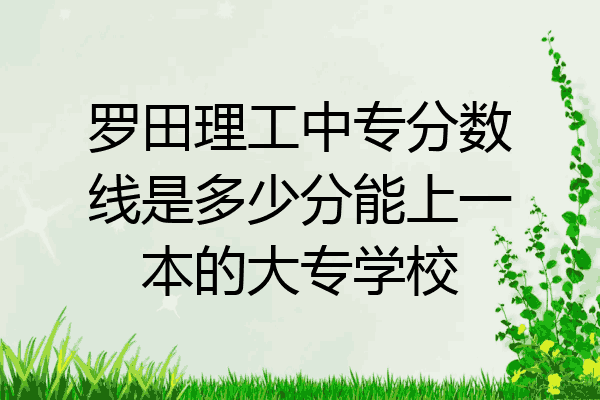 罗田理工中专分数线是多少分能上一本的大专学校