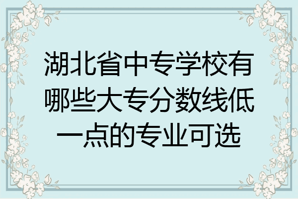 湖北省中专学校有哪些大专分数线低一点的专业可选