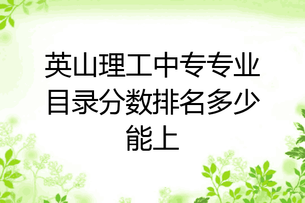 英山理工中专专业目录分数排名多少能上