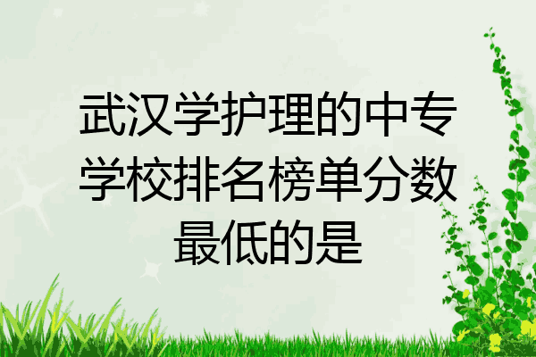 武汉学护理的中专学校排名榜单分数最低的是