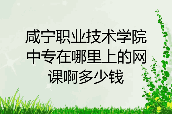 咸宁职业技术学院中专在哪里上的网课啊多少钱