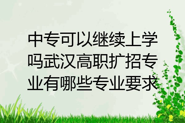 中专可以继续上学吗武汉高职扩招专业有哪些专业要求