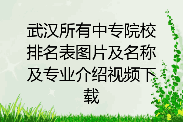 武汉所有中专院校排名表图片及名称及专业介绍视频下载