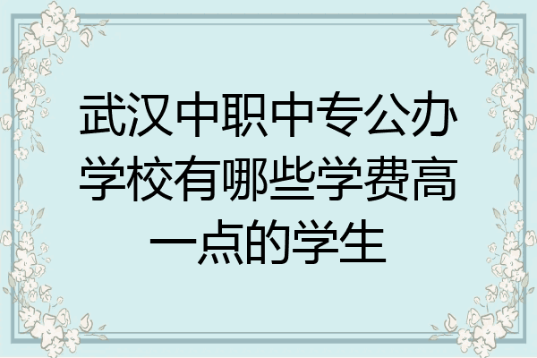 武汉中职中专公办学校有哪些学费高一点的学生