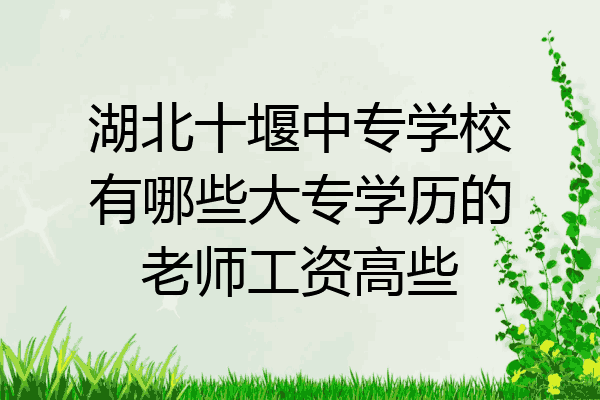 湖北十堰中专学校有哪些大专学历的老师工资高些