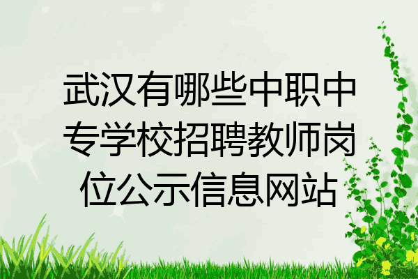 武汉有哪些中职中专学校招聘教师岗位公示信息网站