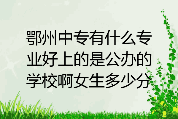 鄂州中专有什么专业好上的是公办的学校啊女生多少分