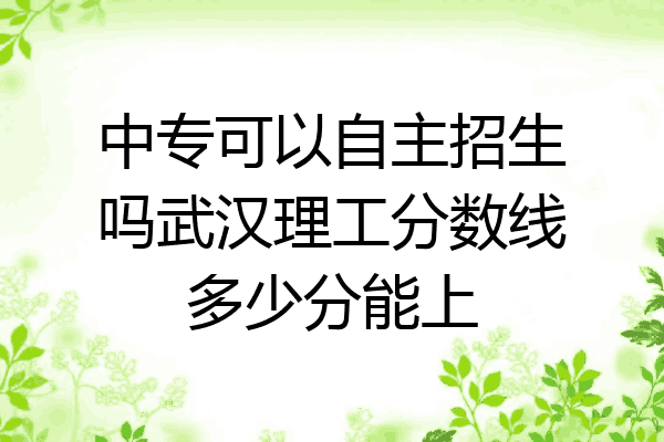 中专可以自主招生吗武汉理工分数线多少分能上