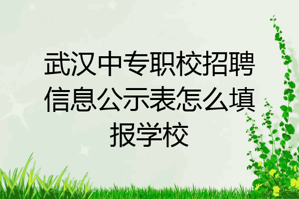 武汉中专职校招聘信息公示表怎么填报学校