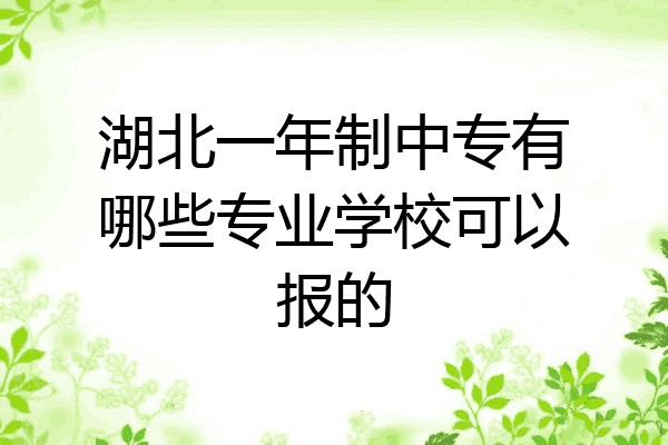 湖北一年制中专有哪些专业学校可以报的