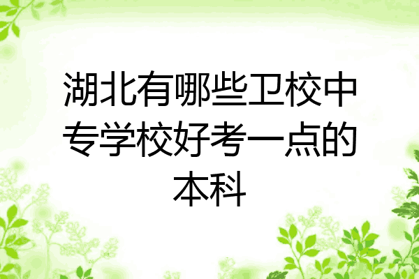 湖北有哪些卫校中专学校好考一点的本科