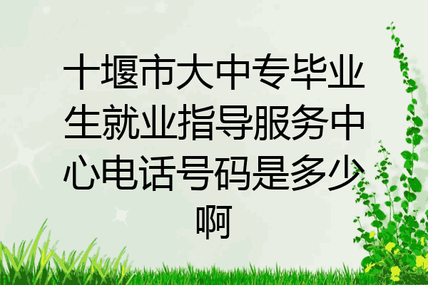 十堰市大中专毕业生就业指导服务中心电话号码是多少啊