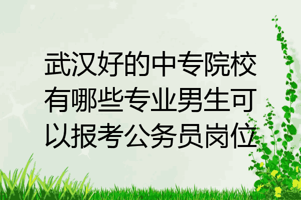 武汉好的中专院校有哪些专业男生可以报考公务员岗位