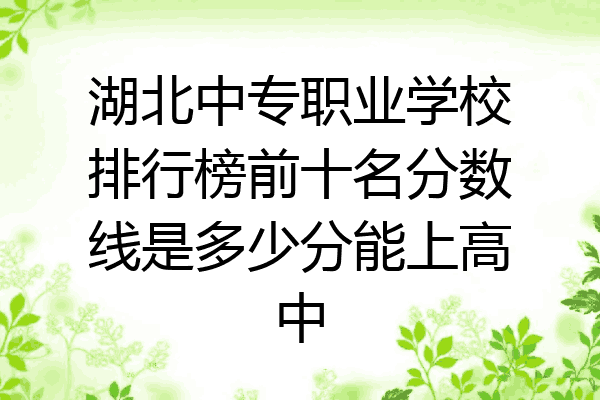 湖北中专职业学校排行榜前十名分数线是多少分能上高中