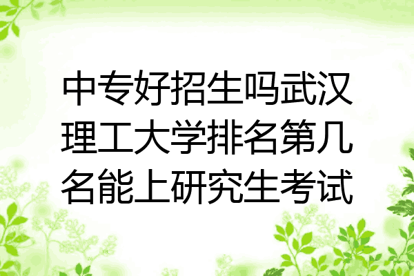 中专好招生吗武汉理工大学排名第几名能上研究生考试